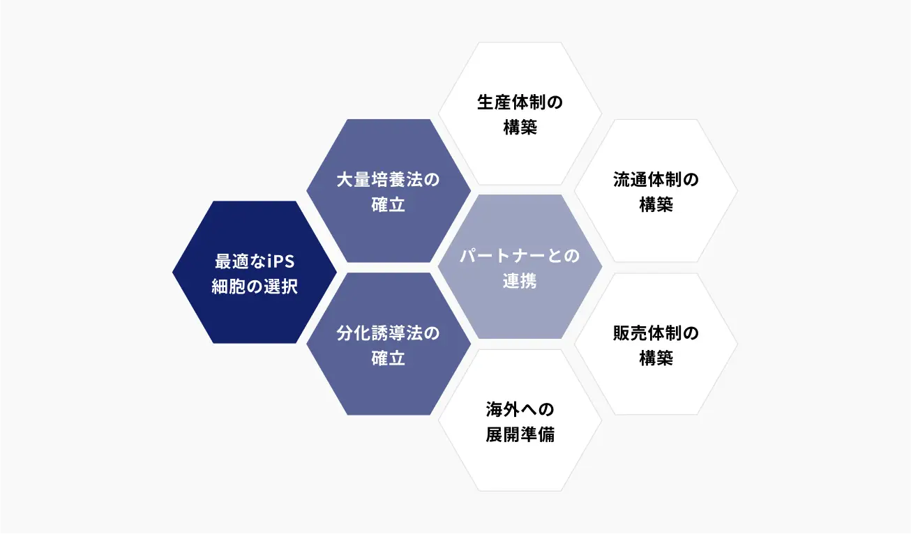 開発の取り組みのイメージ