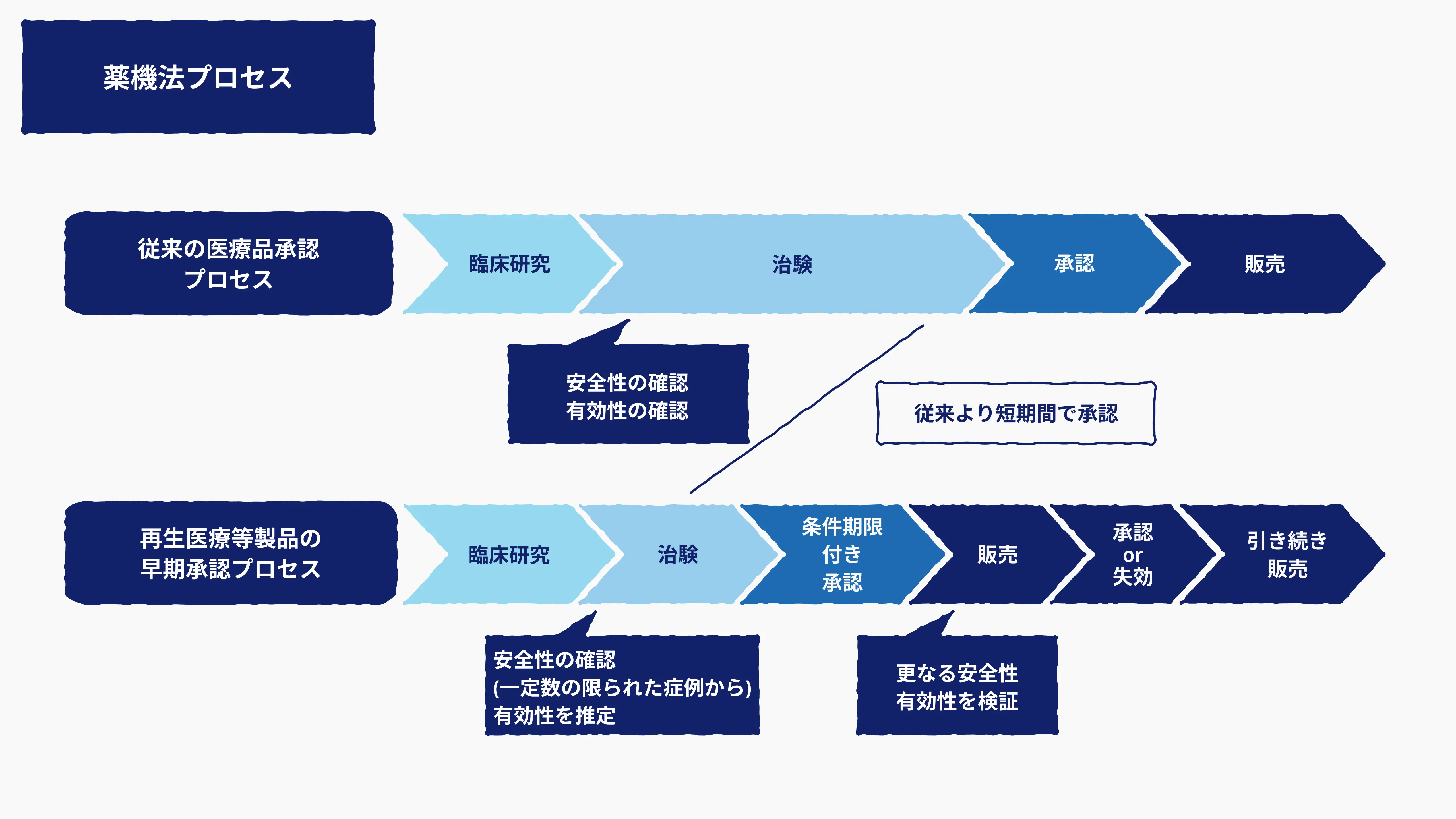 従来の医療品承認プロセス