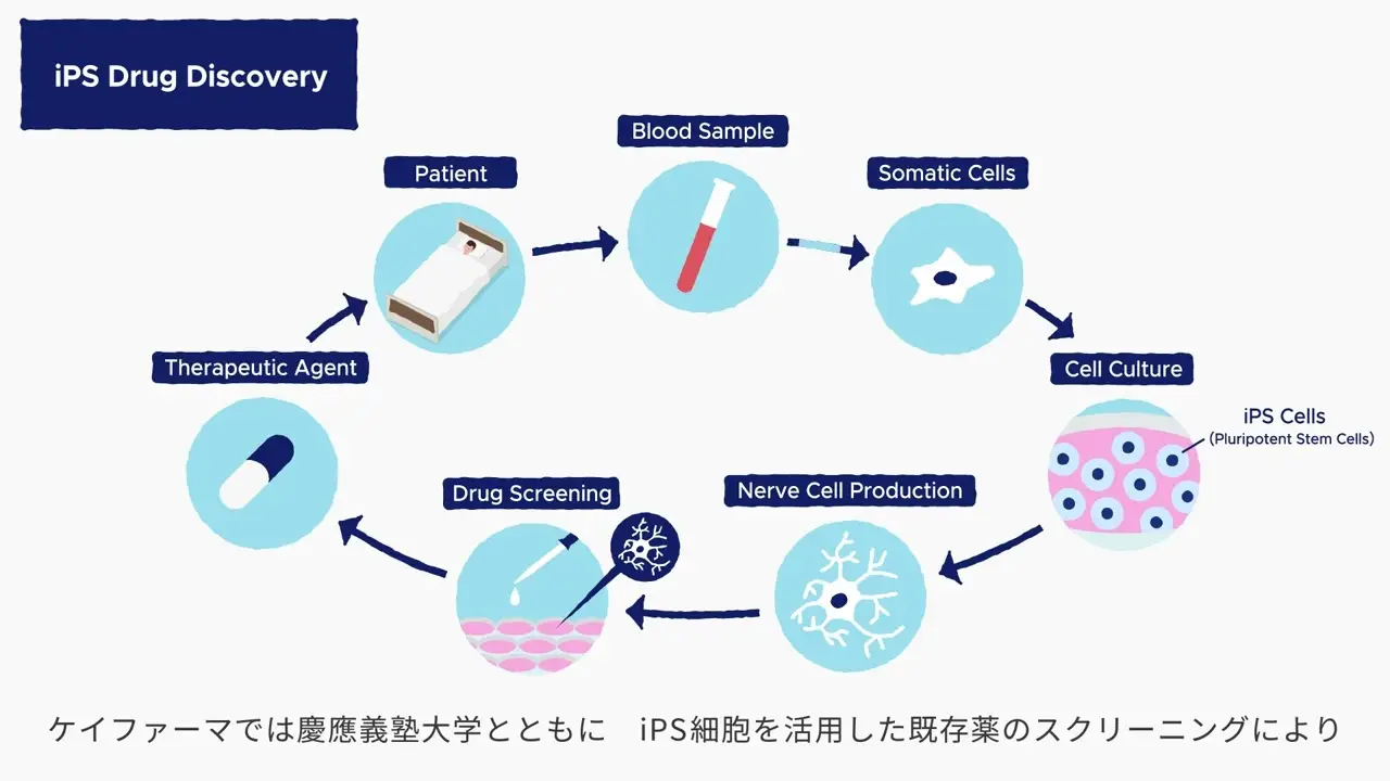 AD治療薬開発に向けて